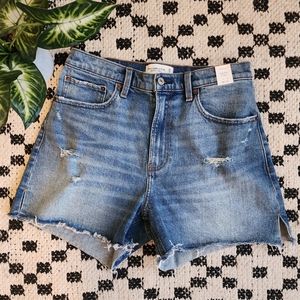 Abercrombie & Fitch Curve Love High Rise 4" Short ✨️NWT✨️
